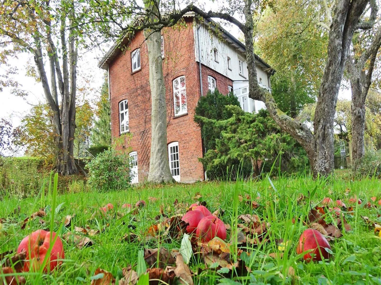 Ferienhaus Naturlich Wassermuhle Kappeln Exterior foto