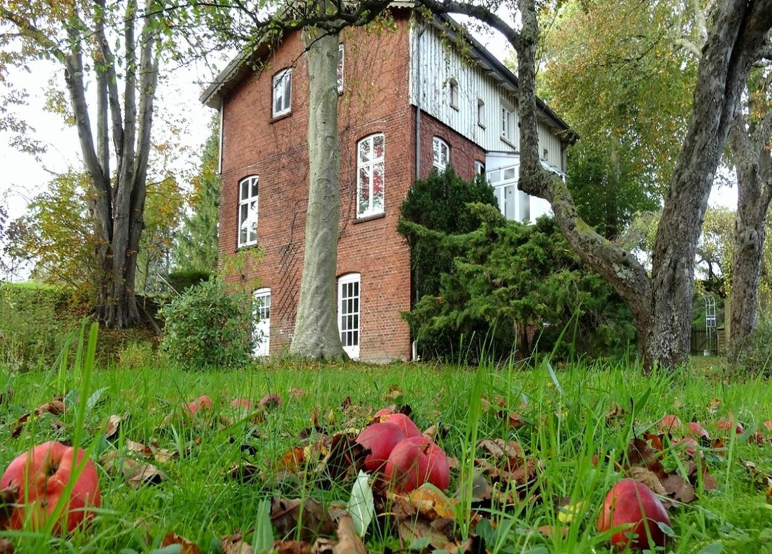 Ferienhaus Naturlich Wassermuhle Kappeln Exterior foto